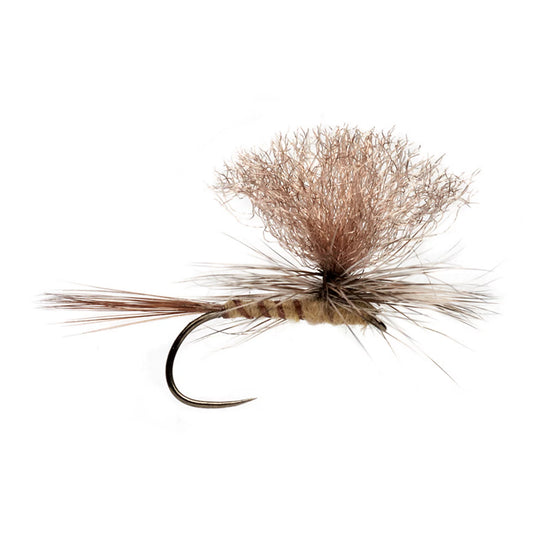 Barbless Tactical Eastern March Brown / Orvis