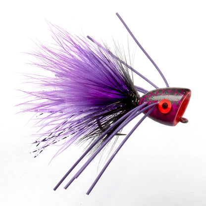 PURPLE,4