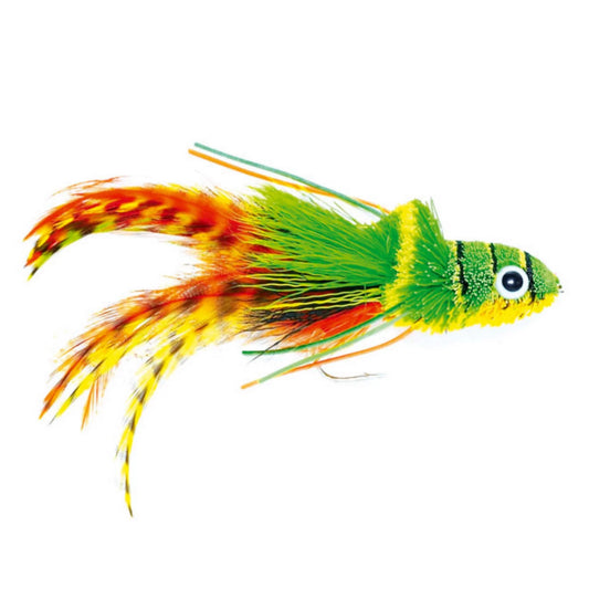 Swimming Frog Orange Belly / Orvis