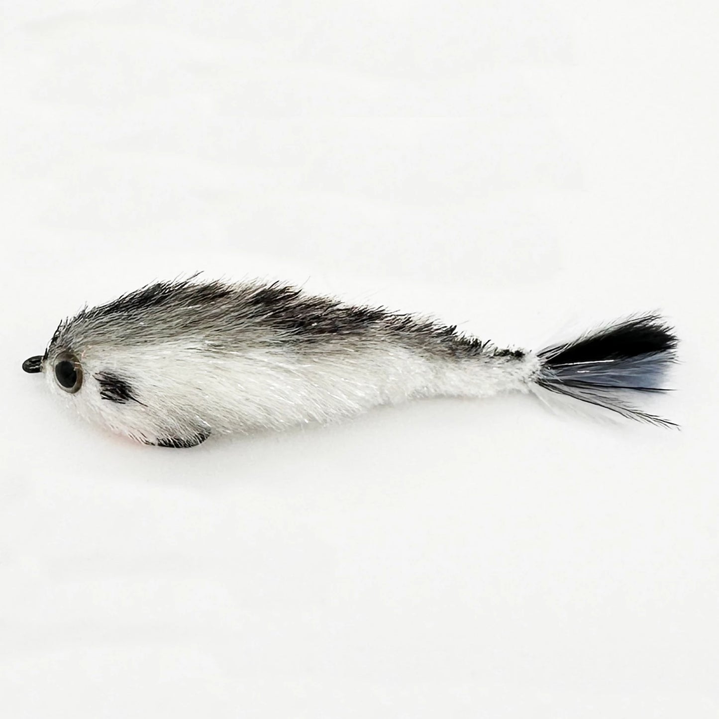 SHAD,2/0