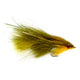 OLIVE & YELLOW