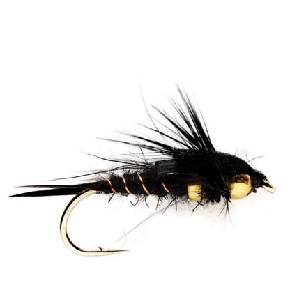 BLACK,8