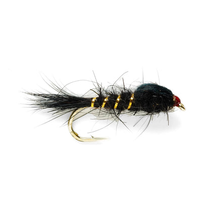BLACK,10