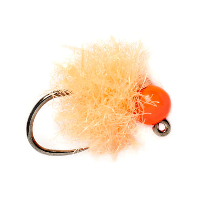 APRICOT