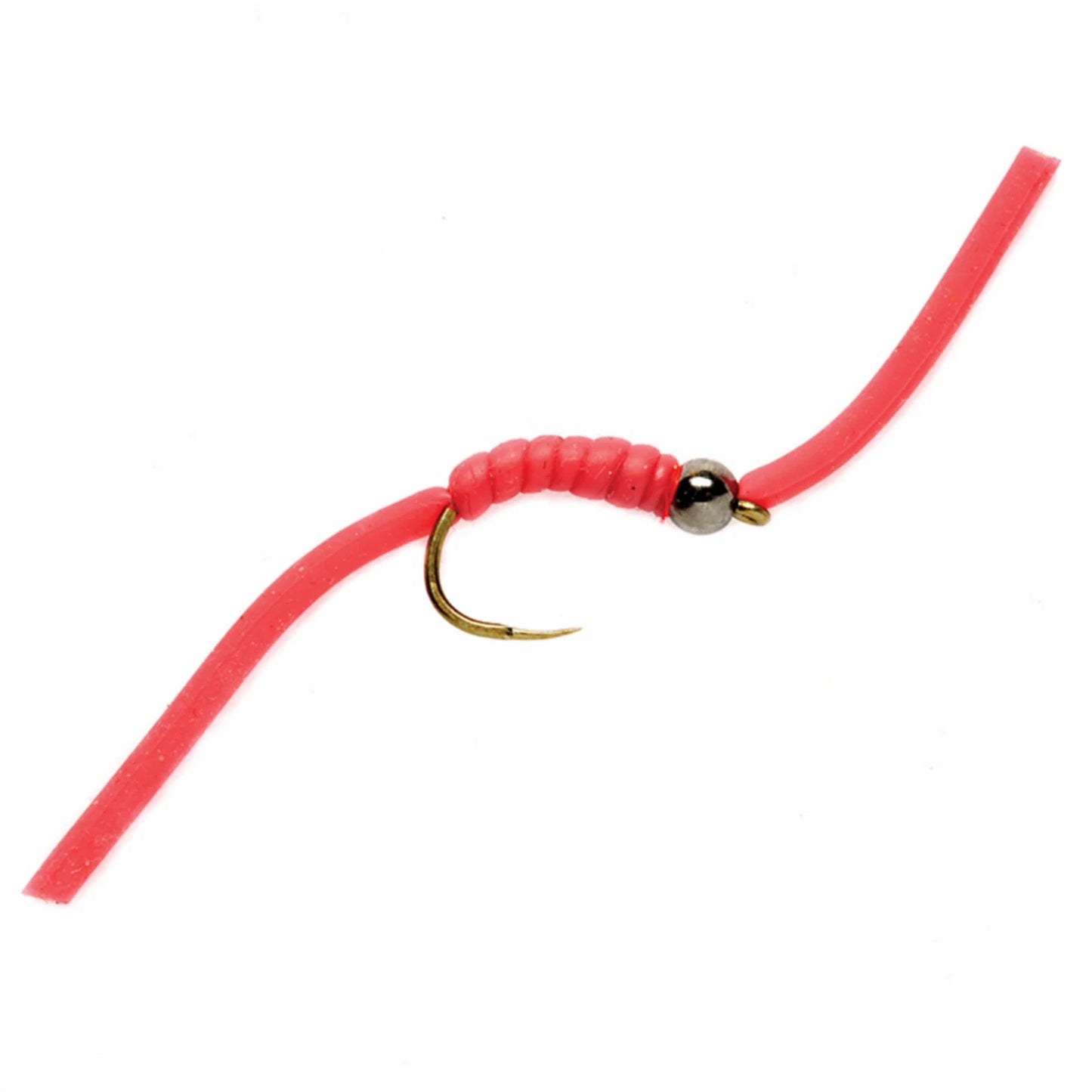 The Worm / Orvis