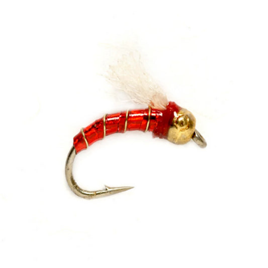 Lexi's TH Holo-Zmidge / Orvis