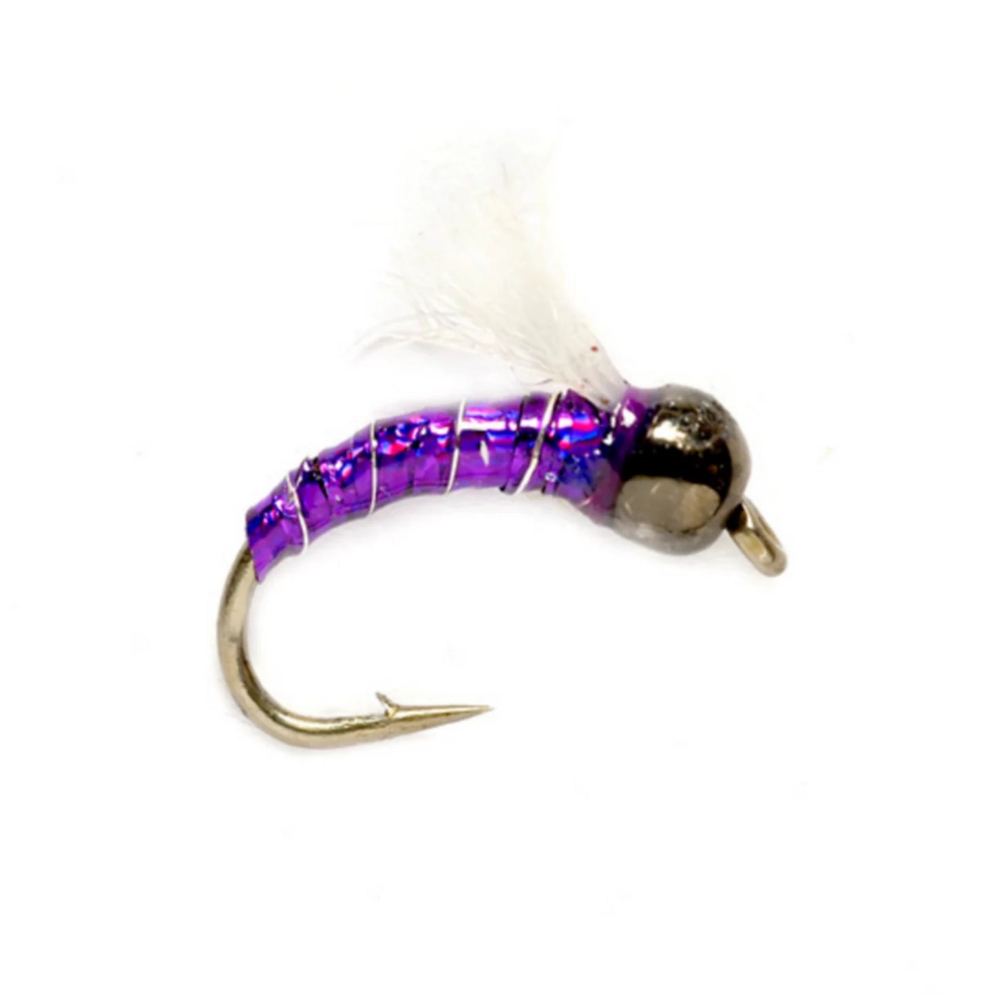 PURPLE,16