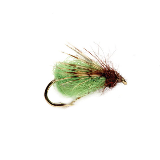 La Fontaine Sparkle Pupa / Orvis