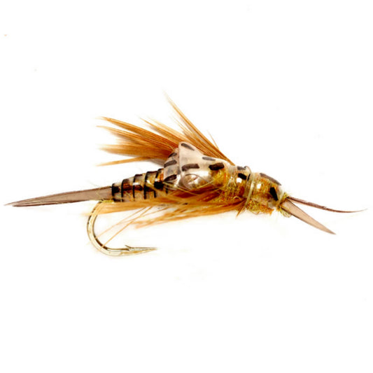 OE Stonefly Nymph / Orvis