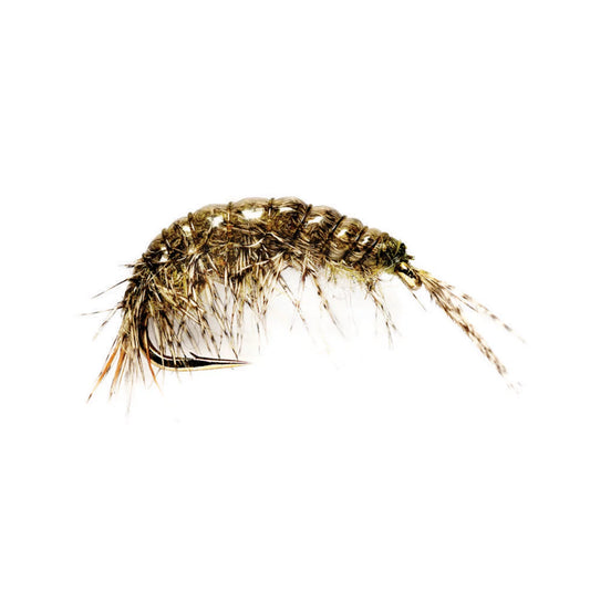 Oliver Edward's Freshwater Shrimp / Orvis
