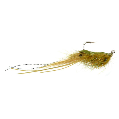 OLIVE,4