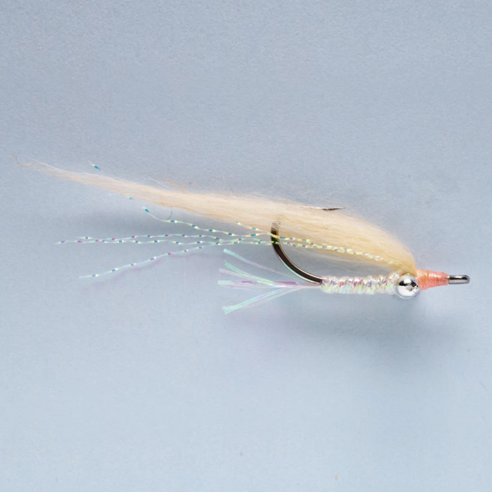 PINK SHALLOW,4