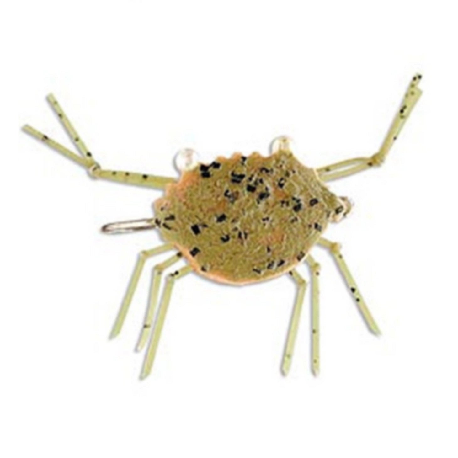 Simon's HoverCrab / Orvis