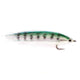 MACKEREL