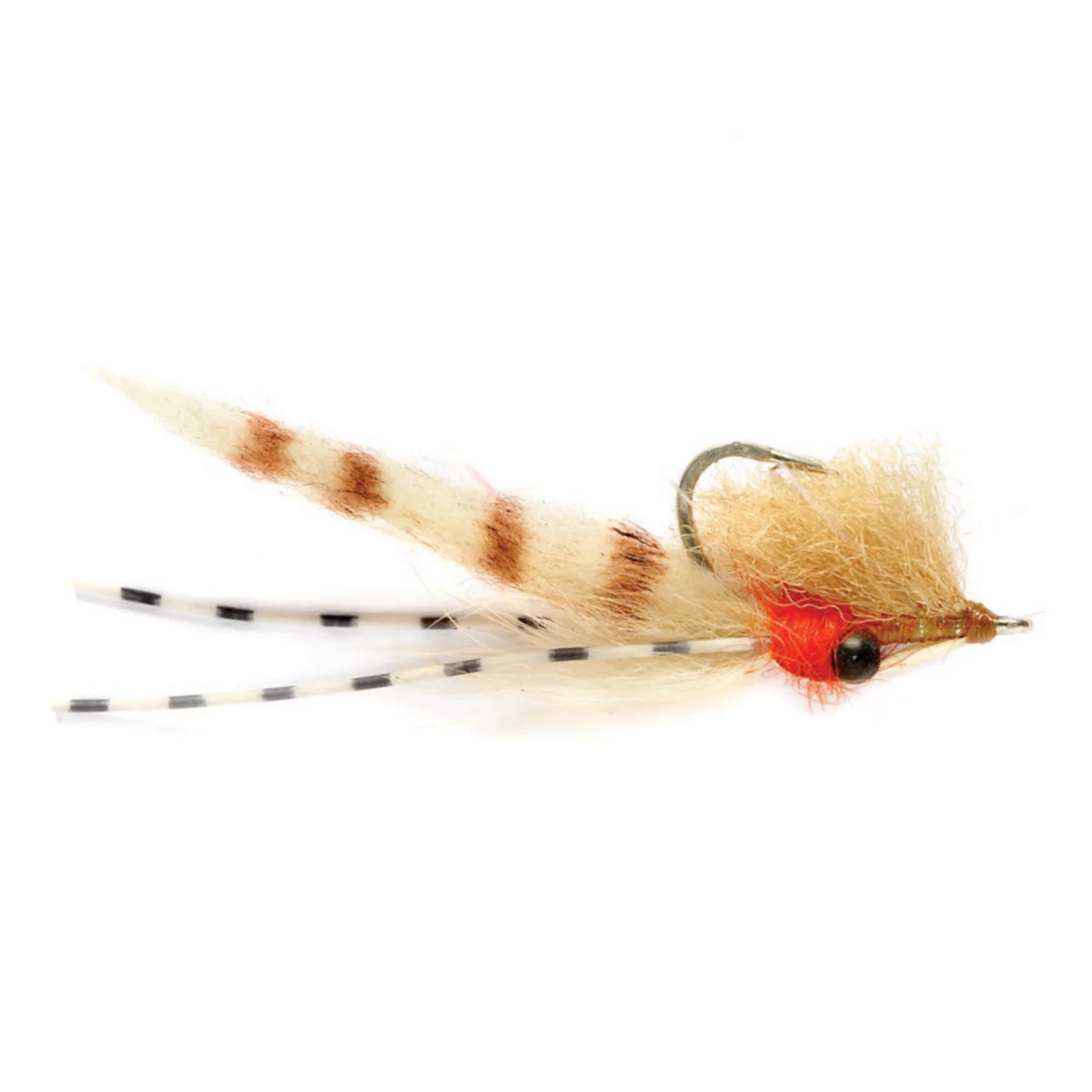 Bone Voyage / Orvis