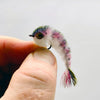 RAINBOW TROUT