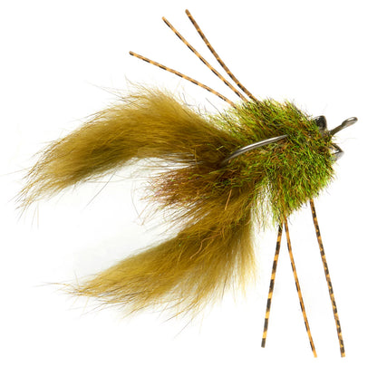 OLIVE