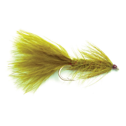 OLIVE,4