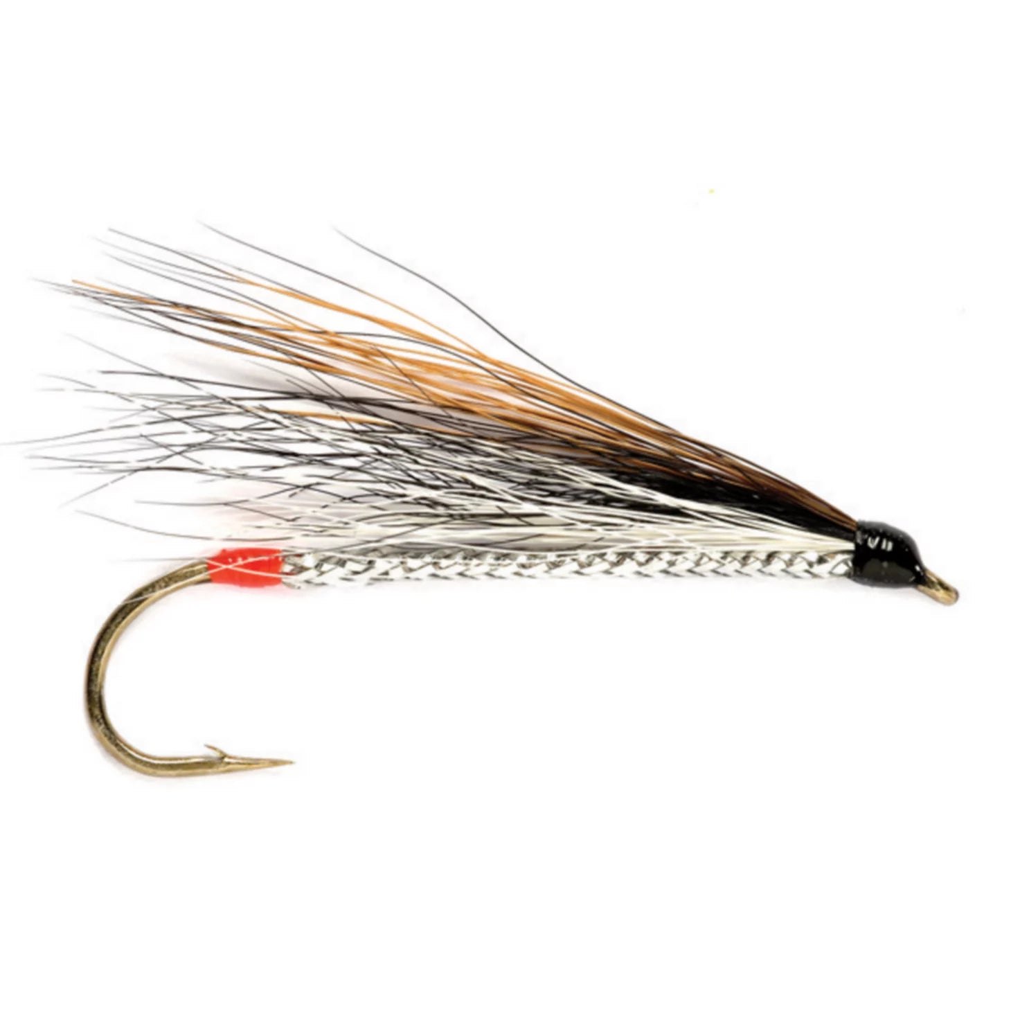 Black Nose Dace / Orvis