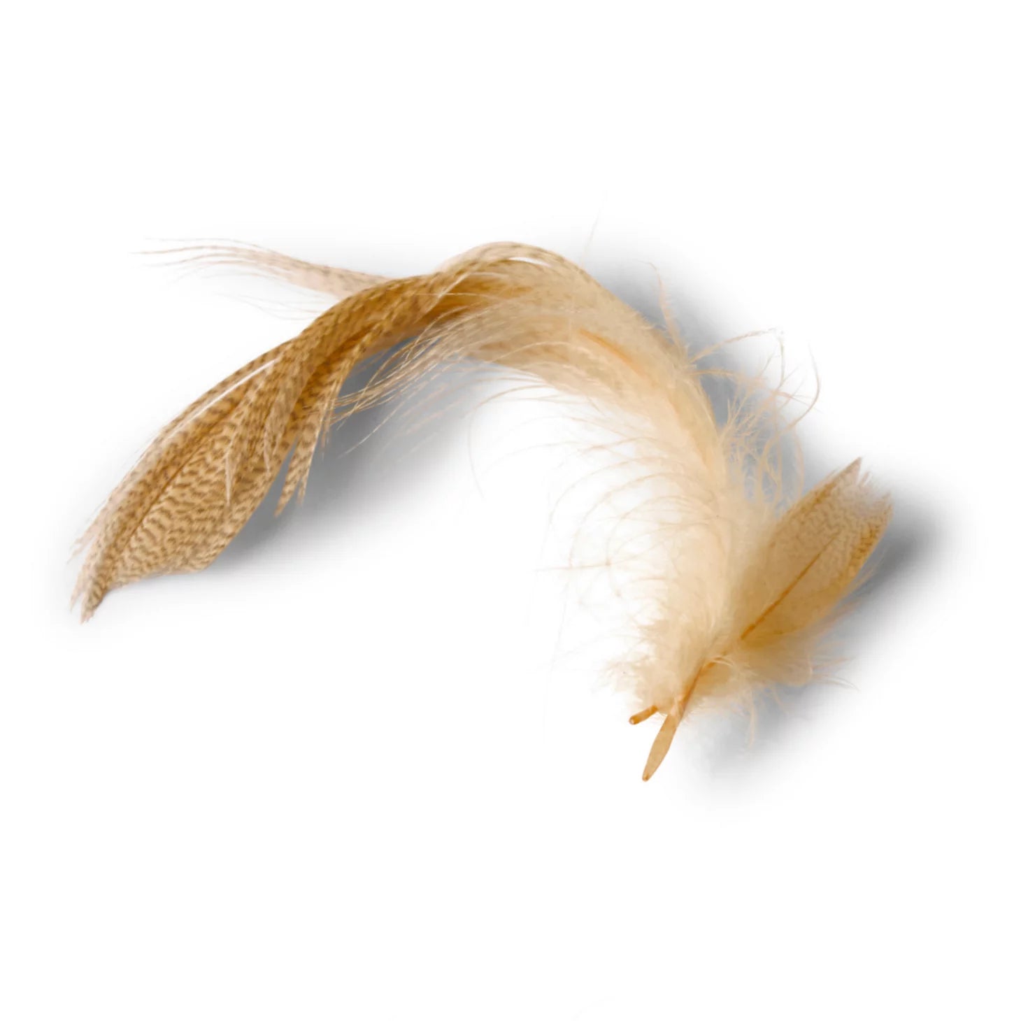 Mallard Duck Side Feathers / Orvis