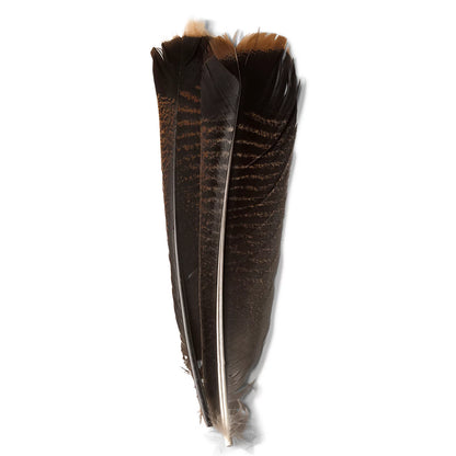 Mottled Turkey Feathers / Orvis
