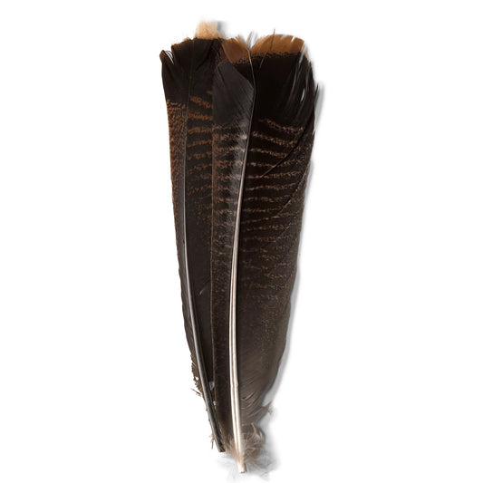 Mottled Turkey Feathers / Orvis