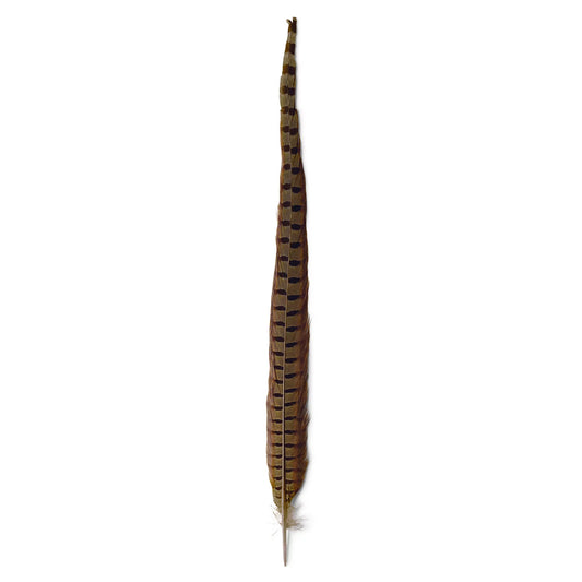 Pheasant Tail / Orvis