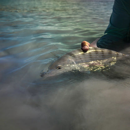 Belize Saltwater Fly Fishing School / Orvis