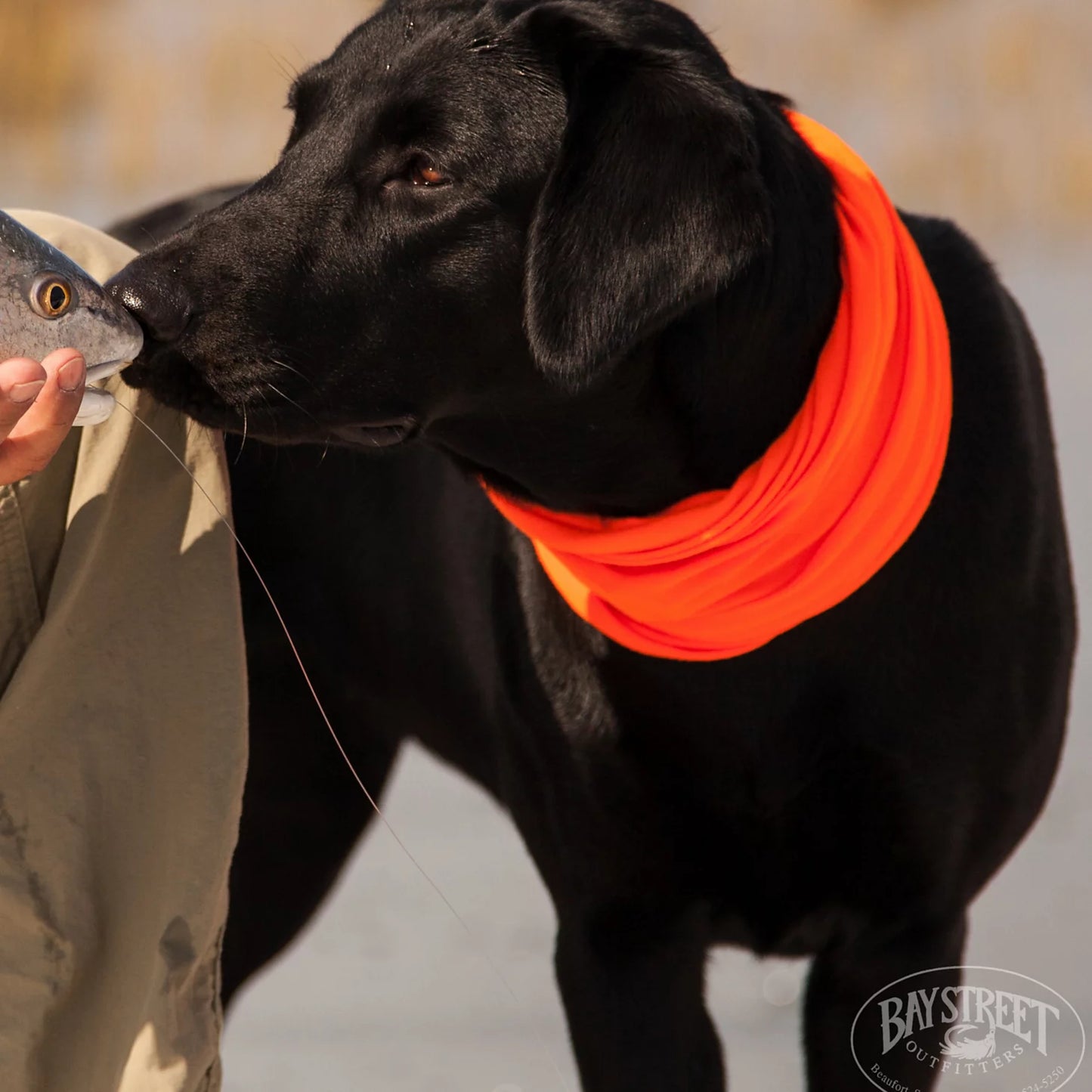 Lowcountry Saltwater Fishing School, SC / Orvis