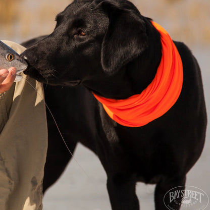 Lowcountry Saltwater Fishing School, SC / Orvis