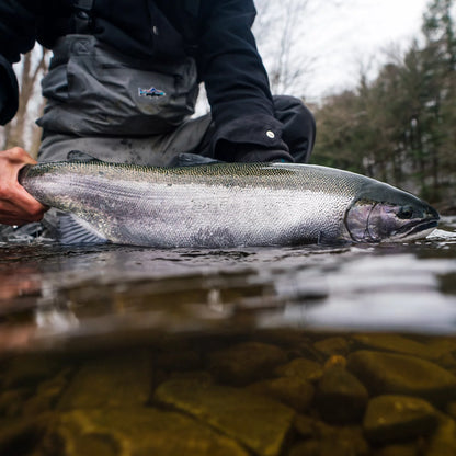 Orvis Steelhead School At Tailwater Lodge Altmar, NY / Orvis
