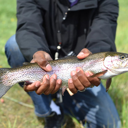 Clyde, Ohio Fly Fishing School / Orvis