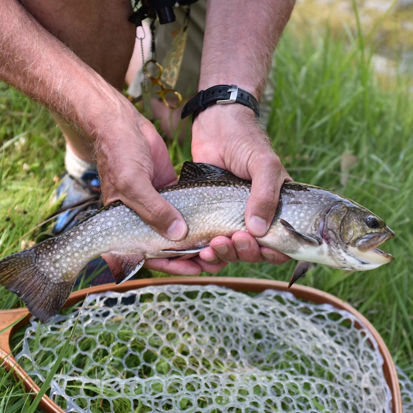 Clyde, Ohio Fly Fishing School / Orvis