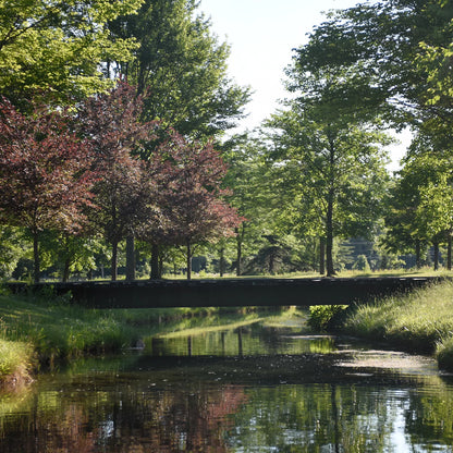 Clyde, Ohio Fly Fishing School / Orvis