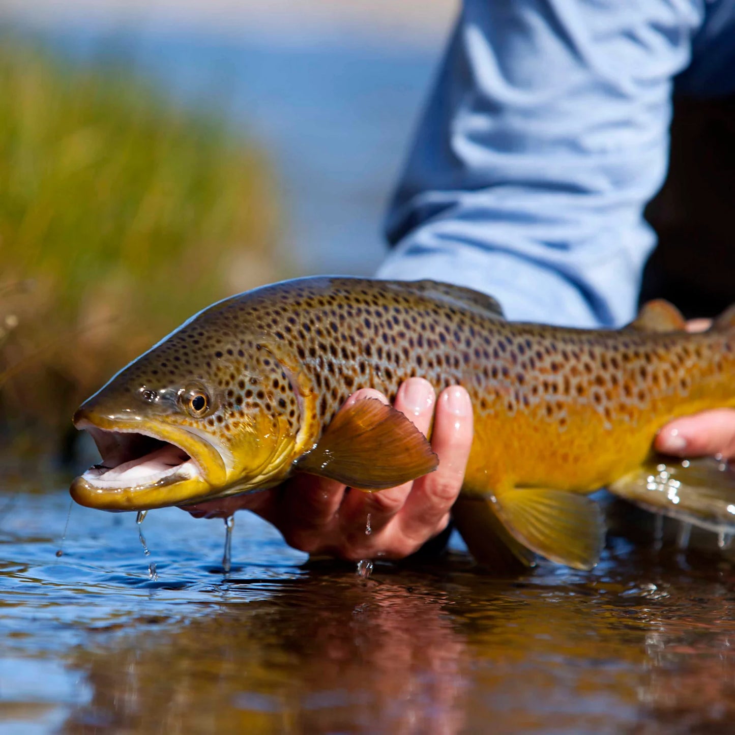 Trout School At Falcon's Ledge, Utah / Orvis