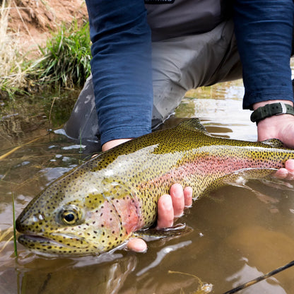 Trout School At Falcon's Ledge, Utah / Orvis