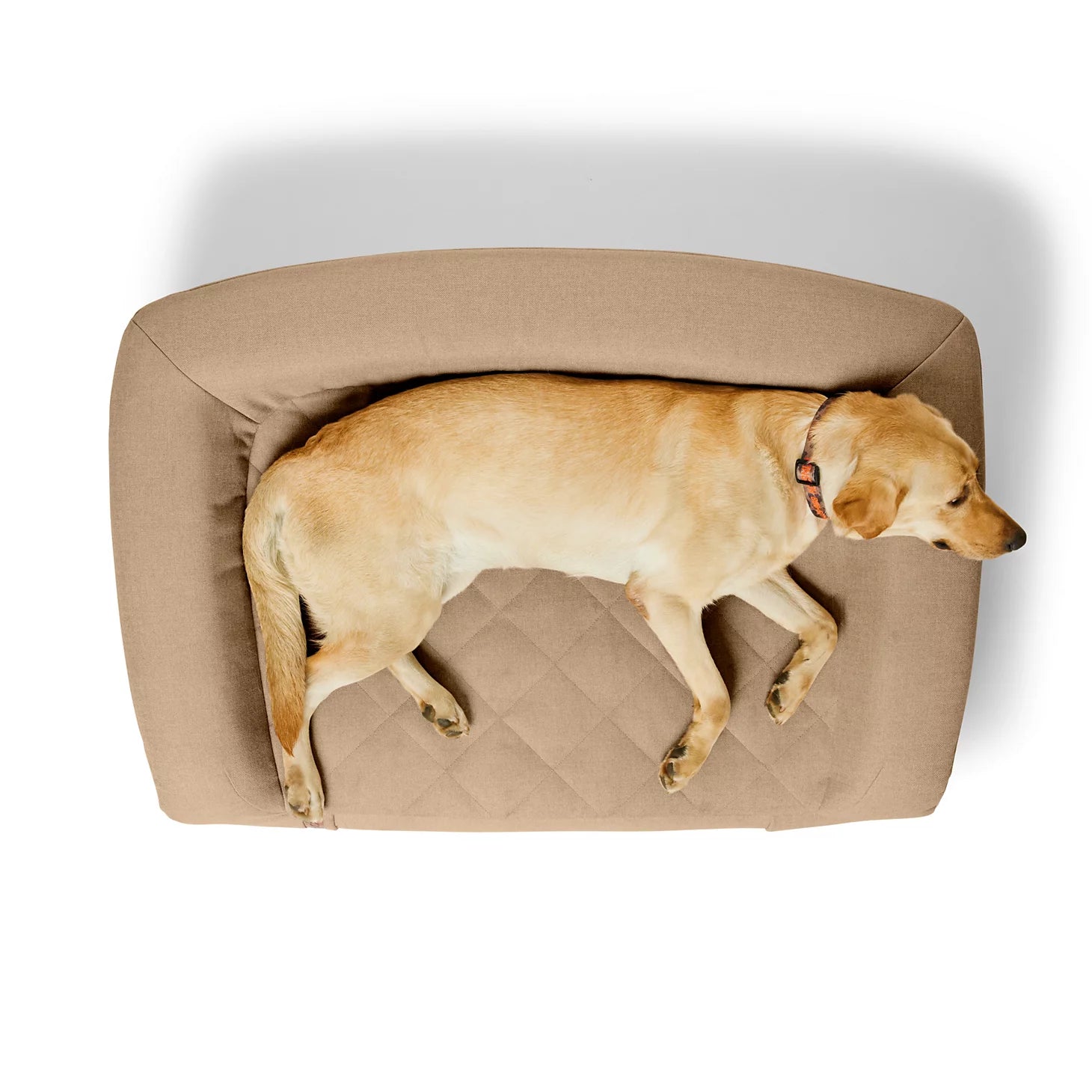 Orvis RecoveryZone® ToughChew® Couch Dog Bed / Orvis