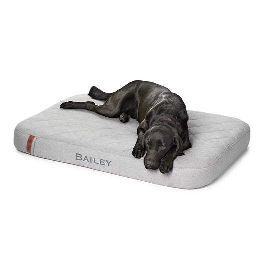 Orvis RecoveryZone® Lounger Dog Bed / Orvis