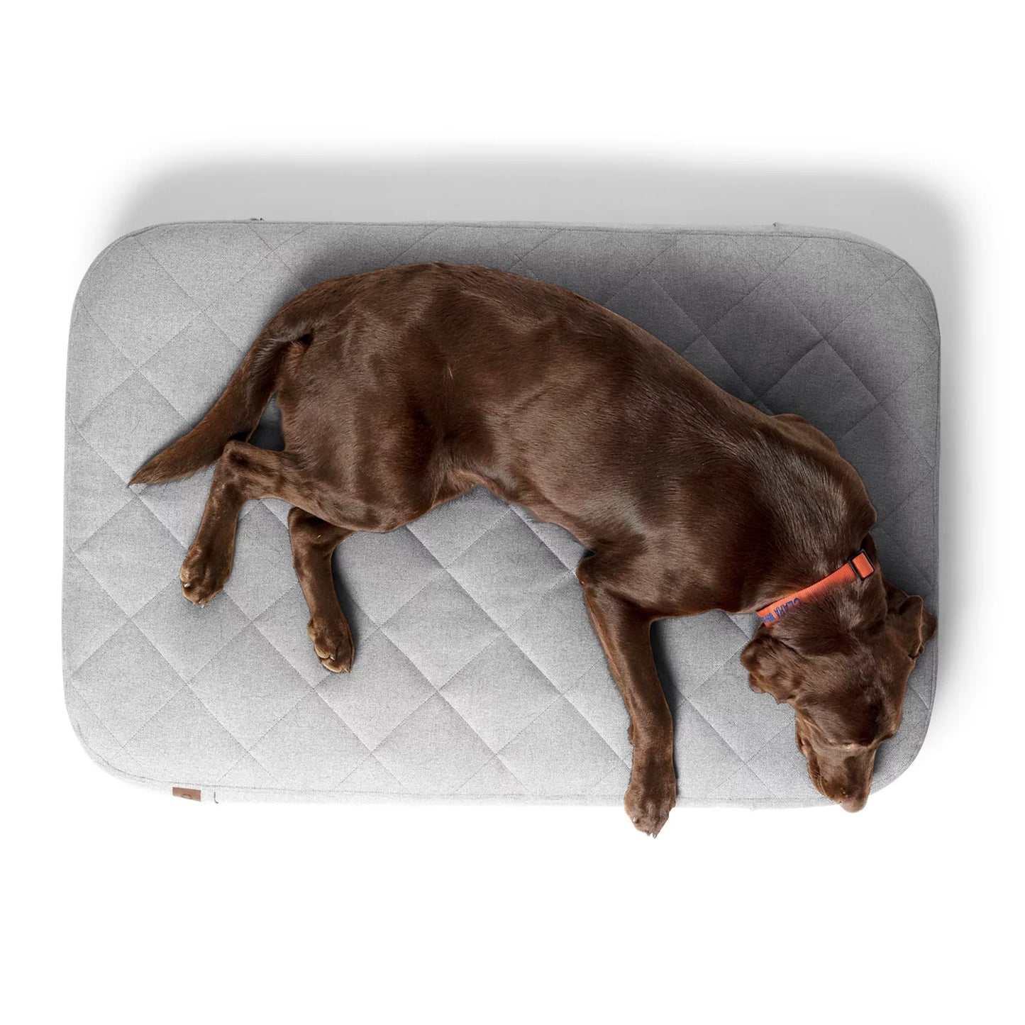 Orvis RecoveryZone® Lounger Dog Bed / Orvis