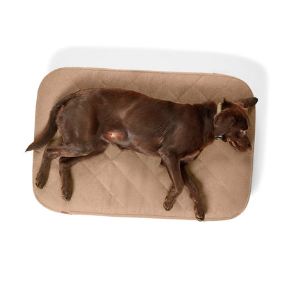 Orvis RecoveryZone® ToughChew® Lounger Dog Bed / Orvis
