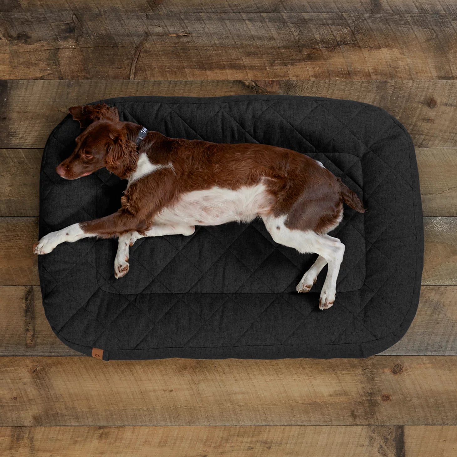 Memory Foam Lounger Dog Bed / Orvis
