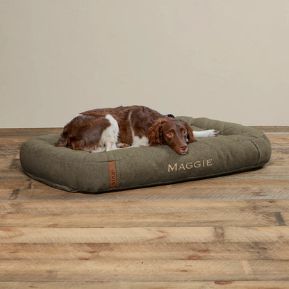 OLIVE,MEDIUM