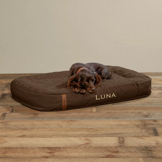 ToughChew® Memory Foam Lounger Dog Bed / Orvis
