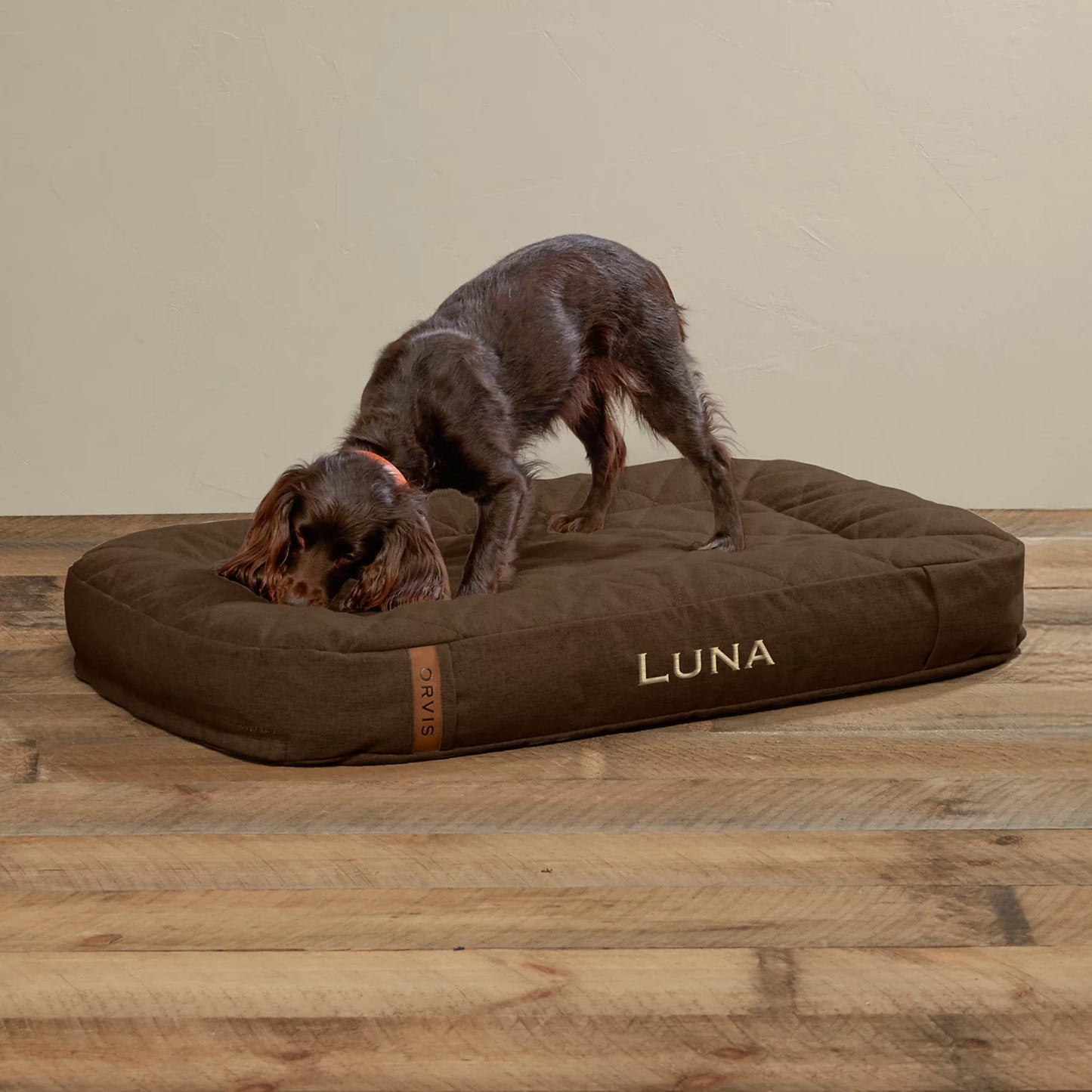 ToughChew® Memory Foam Lounger Dog Bed / Orvis