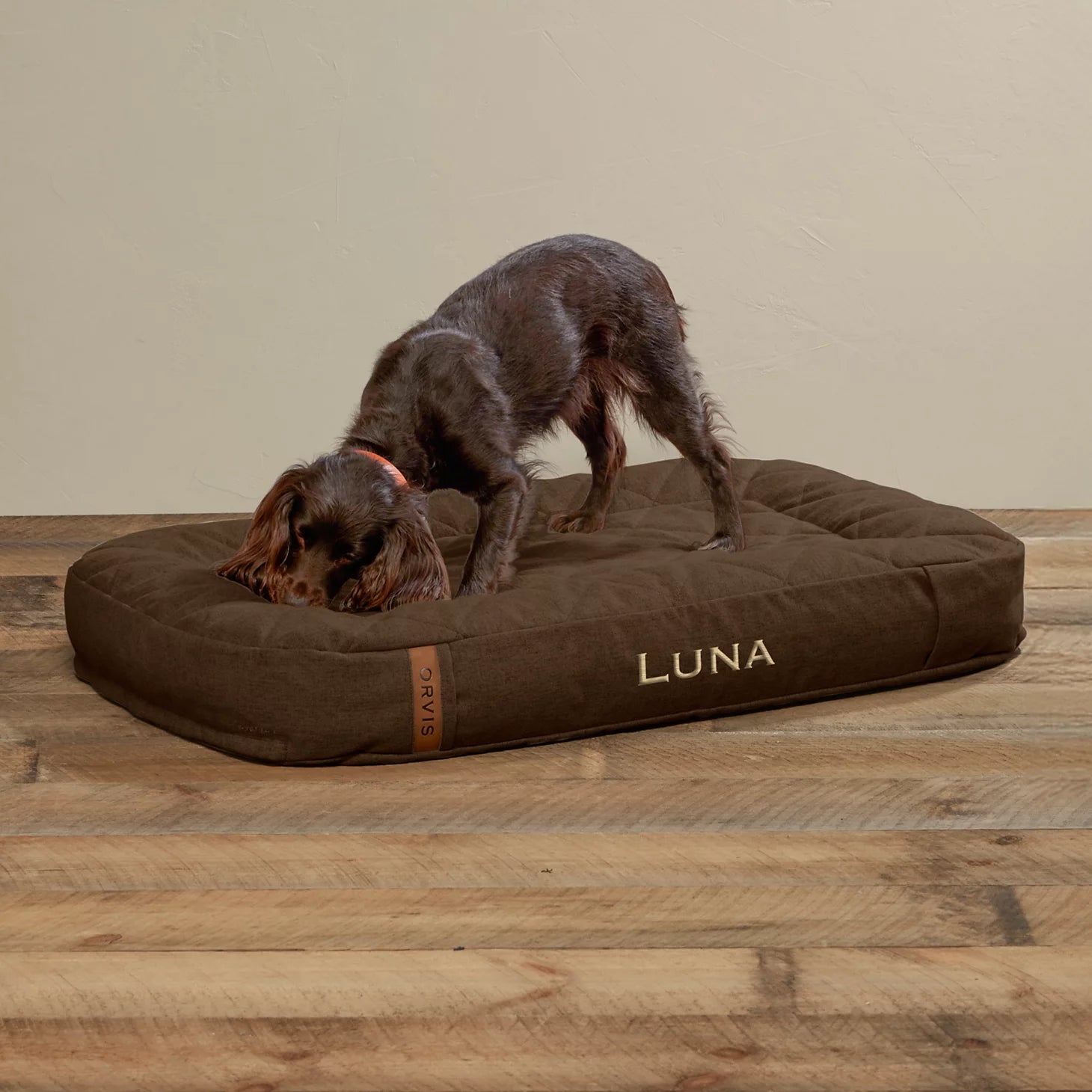 ToughChew® Memory Foam Lounger Dog Bed / Orvis