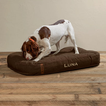 ToughChew® Memory Foam Lounger Dog Bed / Orvis