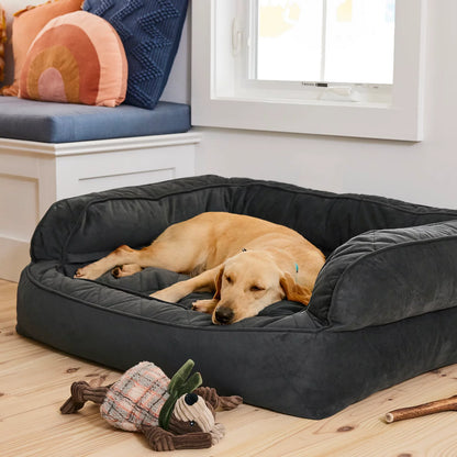 Orvis Memory Foam Deluxe Dog Bed / Orvis