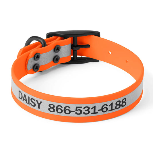 Orvis Waterproof Dog Collar / Orvis