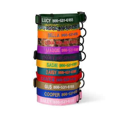 Personalized Side-Release Buckle Collar / Orvis