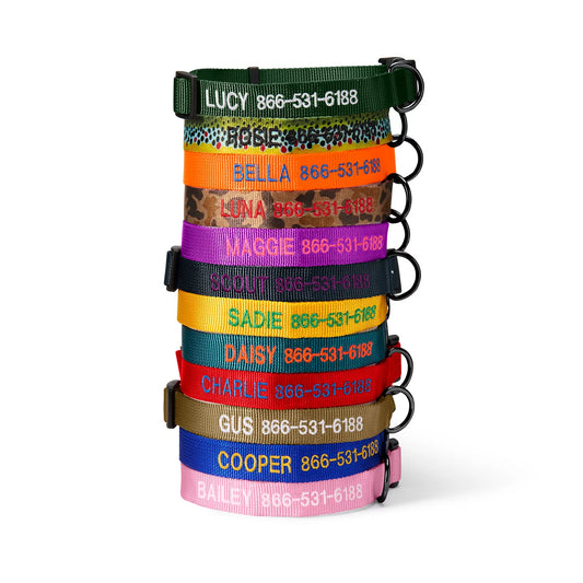 Personalized Side-Release Buckle Collar / Orvis